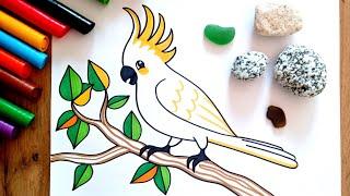 HOW TO DRAW a Parrot - Cockatoo - easy drawing for kids - coloring with markers