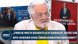 LANDTAGSWAHLEN BRANDENBURG: "Im Prinzip ist das Kaffeesatzleserei" -  Henryk M. Broder