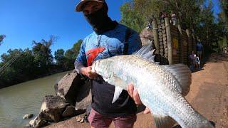 Crocodile VS Barramundi, NT OUTBACK FISHING