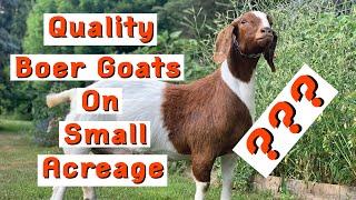 Can You Raise 40+ Quality Boer Goats On Less Then 3 Acres