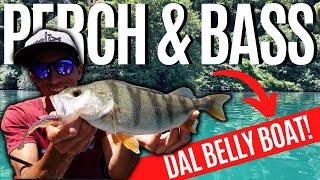 PERSICI e BASS dal Belly Boat con @fishingsenpai e @BuccosFishing ! (4k)