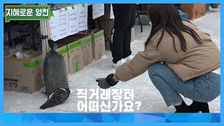 [지혜로운양천] 설맞이 직거래 장터