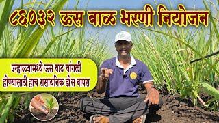 86032 ऊस बाळभरणी नियोजन||sugercane fertilizers management रासायनिक डोस संपूर्ण माहिती #ऊस #shetakari