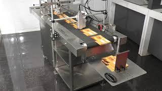 Automatic label feeding machine for batch coding