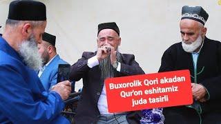 Buxorolik qori akamiz. Dashnabodda tuyda  Qur'onni juda ajoyib tilovat qildilar️️️️️