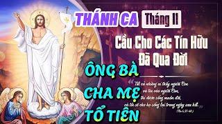 THÁNH CA CẦU CHO CÁC LINH HỒN - Ý NGHĨA NHẤT THÁNG 11 / CẦU CHO ÔNG BÀ , CHA MẸ , TỔ TIÊN