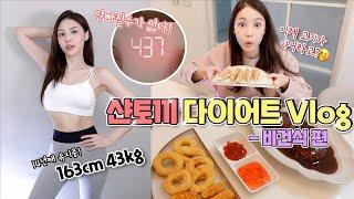 16kg빼고 14년째 유지어터 샨토끼다이어트 vlog 비건식편 | 샨토끼