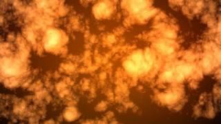 Fluffy Fire Background (FREE) : Motion graphics