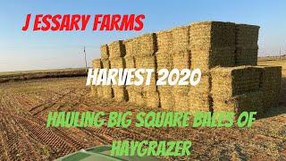 Hauling big squares of haygrazer! We do it all!