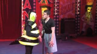 Circus Hilarious - Hippodrome Circus - Bee Routine