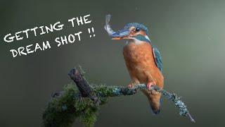 How to photograph KINGFISHERS - BUCKET LIST SHOTS