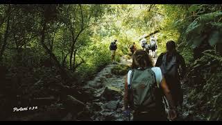 Hiking in the forests of Mexico City, Mexico with Portami Via