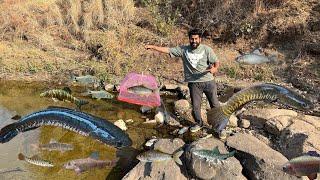 Today we saved 500 plus fish #riverfishing