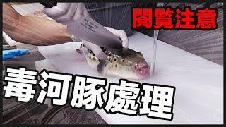 Warning! The Process Of Cutting Blowfish With Poison.《Alan Channel》