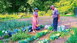 Our annual garden tour!