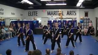 Elite Martial Arts of Marlboro Demo Team - Full Performance October 2016