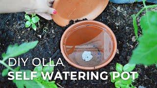 How to make DIY Ollas: Self-Watering Systems for Plants