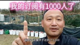 今天开始我从小小小博主变成了小小博主，订阅超过1000了，庆祝一下