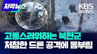 [자막뉴스] 고통스러워하는 북한군, 처참한 드론 공격에 몸부림 / KBS 2024.12.22.