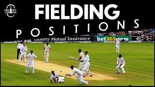 Learn ALL the FIELDING Positions in Cricket under 8 Minutes - English