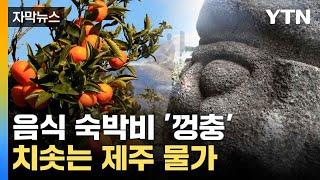 [자막뉴스] 밥상 물가 부담 커져...통계로 본 제주  / YTN