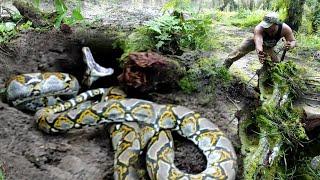 SHEARING DURING EVACUATION OF THE HUGE PYTHON MONSTER FIGURE IN A CREATORY HOLE..!!