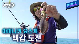 [Full] 두족류 전문가 '야마나카 요스케'가 홍원항에 떴다! 갑오징어 하루 백갑 재도전!! [스타일J/7회]