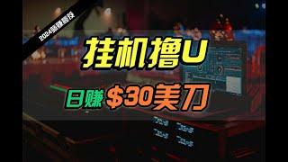 日赚30美刀，2024最新海外挂机撸U内部项目，全程无人值守，可批量放大