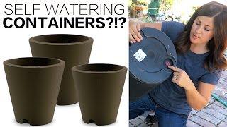 SELF WATERING CONTAINERS!?!