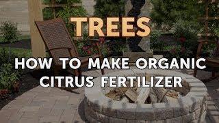 How to Make Organic Citrus Fertilizer