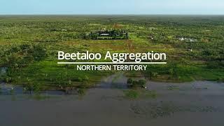 For Sale | Beetaloo Aggregation, Northern Territory, Australia