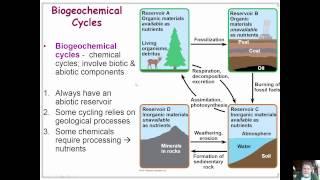 ecosystems and restoration ecology