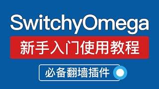 Proxy SwitchyOmega使用教程，添加socks5和http节点,auto switch 代理规则配置，Clash和v2rayN switchyomega怎么用