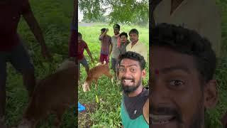 Baar Randhan Karecharo #banjaracomedy Fish Vinod Kumar Village