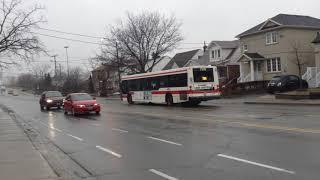 The Transit Archive: TTC D40LFs And Orion Vs