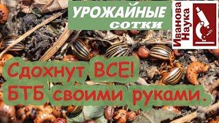 Все вредители СДОХНУТ! БТБ и Лепидоцид своими руками.