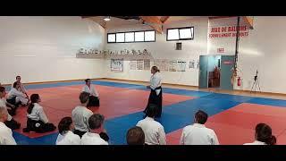 Micheline Vaillant Tissier: Ryote dori Ikkyo application