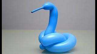 Tuto sculpture de ballon facile : Cygne