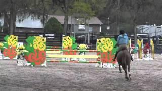 Hailey Royce and Rapidash - High Children’s Jumpers HITS Ocala March 2016