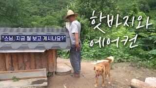 반려견 핫바지의 여름나기 / 핫바지와 에어컨 / 산스님의 산골짜기 일상 VLOG