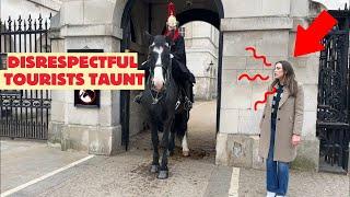 Disrespectful Tourists TAUNT at Royal Horse – Watch the Horse's Reaction!