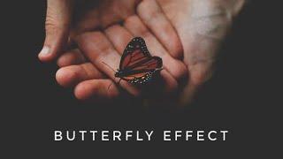 The Butterfly Effect.