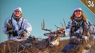 BUCK COMES to the BOW DECOY! - MINNESOTA BOW HUNTING