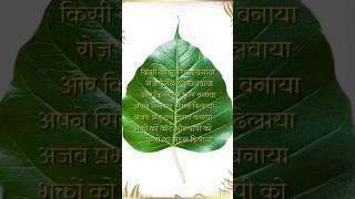 Thoughts ## Written By Pramod ##
