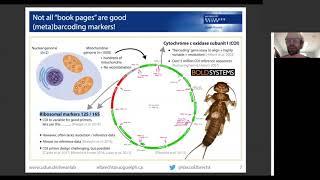 Lecture: Using DNA metabarcoding for stream assessment