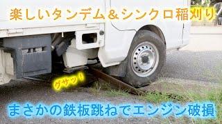 軽トラエンジンが脱輪で破損！ミルキークイーンの稲刈りがピンチ・でも２台体制で一気に終了です・2023