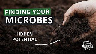 3-Steps to Rapid Soil Regeneration Part 1: Finding the Beneficial Microbes in your Location