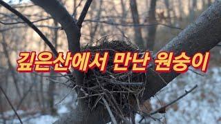 깊은 산에서 만난 원숭이와 빈집 한 채