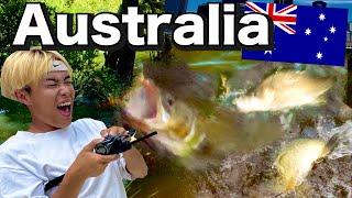 What Can We Catch in Freshwater??Japanese Angler in Australia