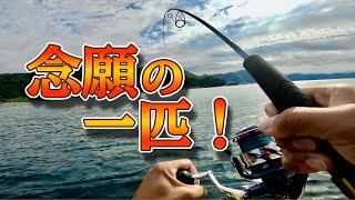 岸の近くでも大物連発！二馬力ボートで念願の初魚種HIT！